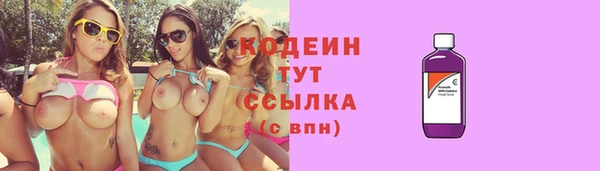 дживик Богородицк