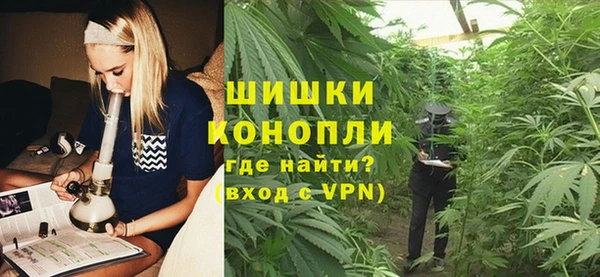 стаф Богданович