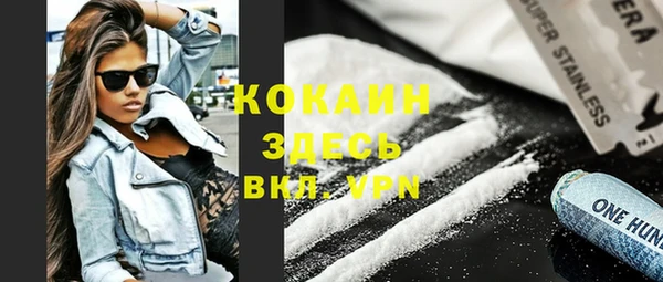 дживик Богородицк