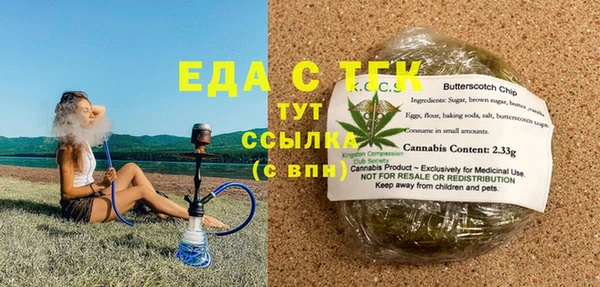 стаф Богданович